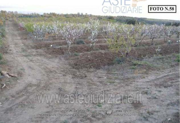 terreno agricolo in vendita a Caltagirone in zona Santo Pietro