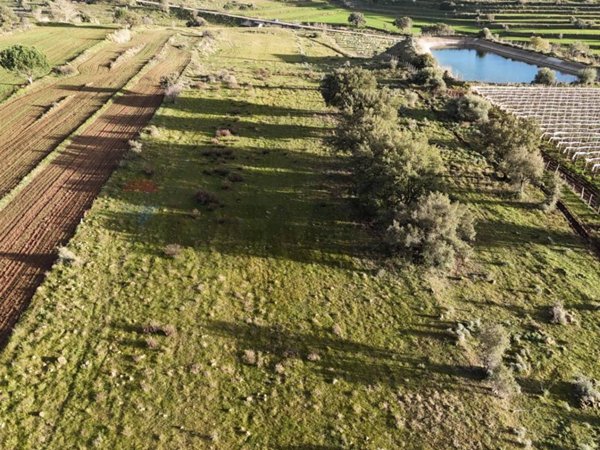 terreno agricolo in vendita a Caltagirone