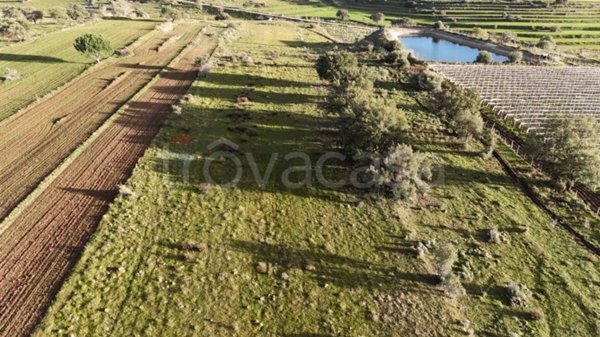 terreno agricolo in vendita a Caltagirone