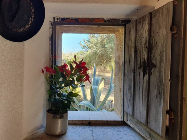 casa indipendente in vendita a Caltagirone