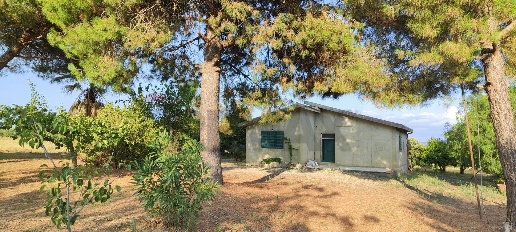 casa indipendente in vendita a Caltagirone