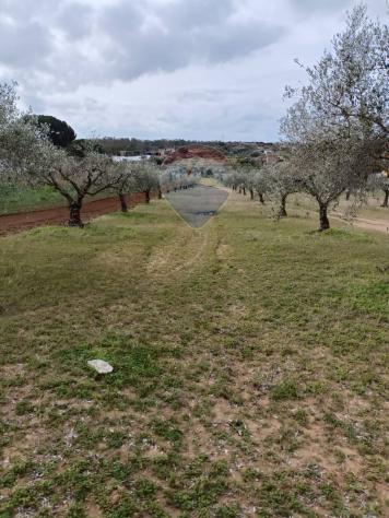 terreno agricolo in vendita a Caltagirone in zona Santo Pietro