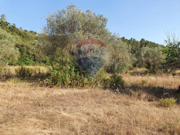 terreno agricolo in vendita a Caltagirone in zona Santo Pietro