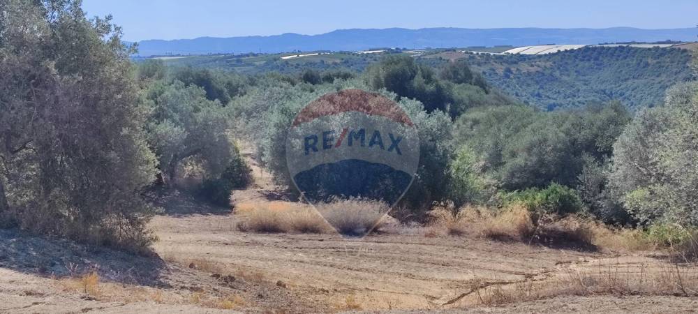 negozio in vendita a Caltagirone in zona Santo Pietro