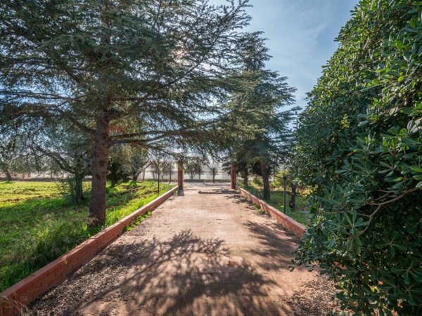 casa indipendente in vendita a Caltagirone
