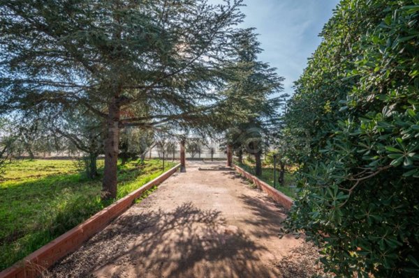 casa indipendente in vendita a Caltagirone