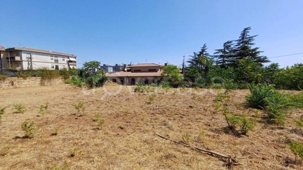 terreno agricolo in vendita a Caltagirone