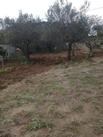 terreno agricolo in vendita a Caltagirone