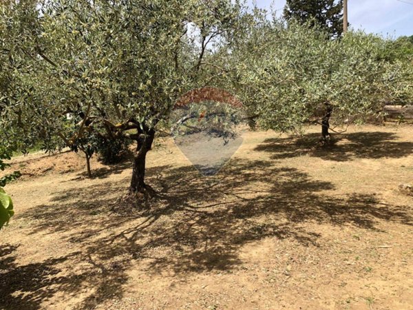 casa indipendente in vendita a Caltagirone in zona Colleggiata