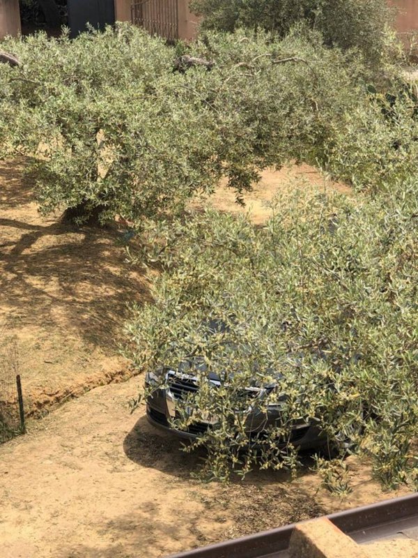 casa indipendente in vendita a Caltagirone in zona Colleggiata