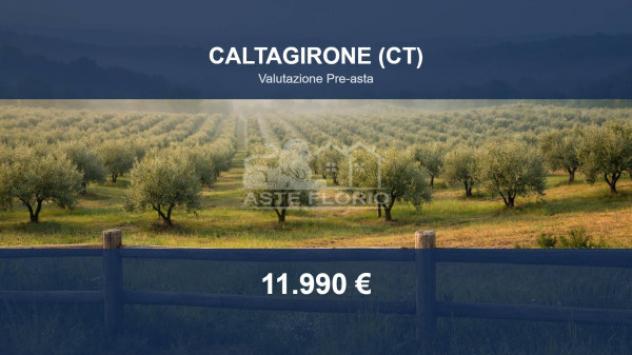 terreno agricolo in vendita a Caltagirone in zona Granieri