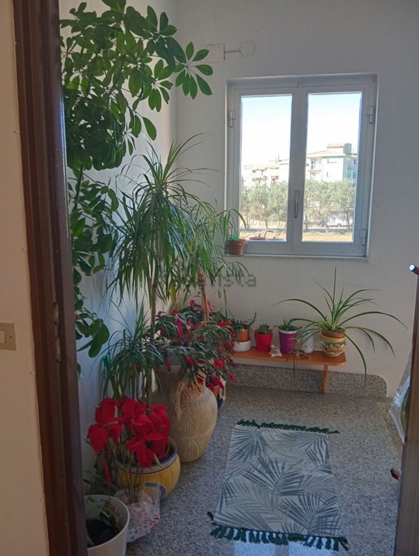 appartamento in vendita a Caltagirone