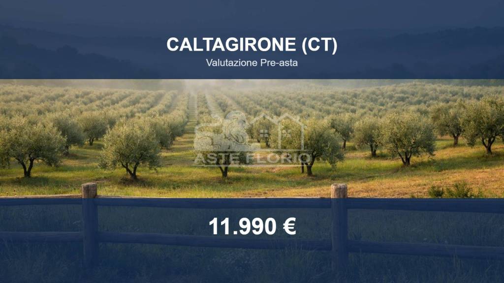 terreno agricolo in vendita a Caltagirone in zona Granieri