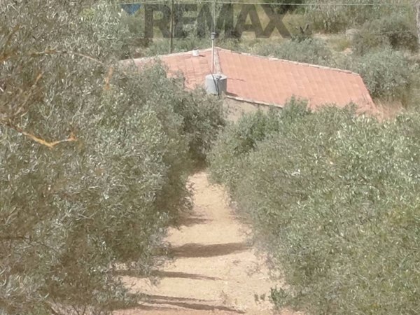 casa indipendente in vendita a Caltagirone in zona Santo Pietro