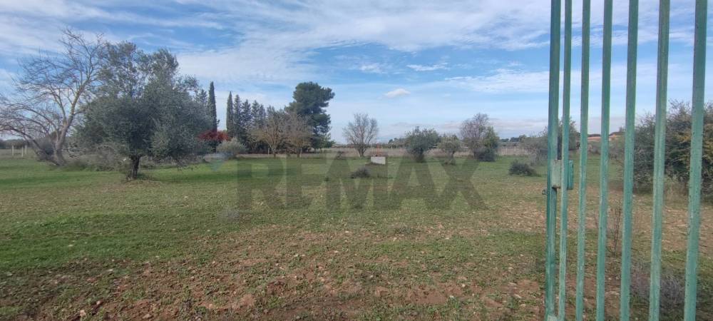 terreno agricolo in vendita a Caltagirone in zona Santo Pietro