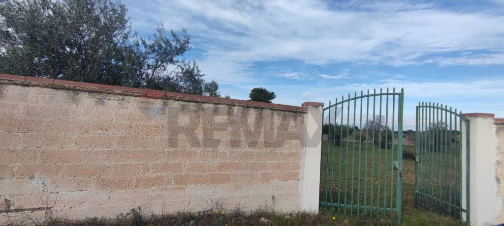 terreno agricolo in vendita a Caltagirone in zona Santo Pietro
