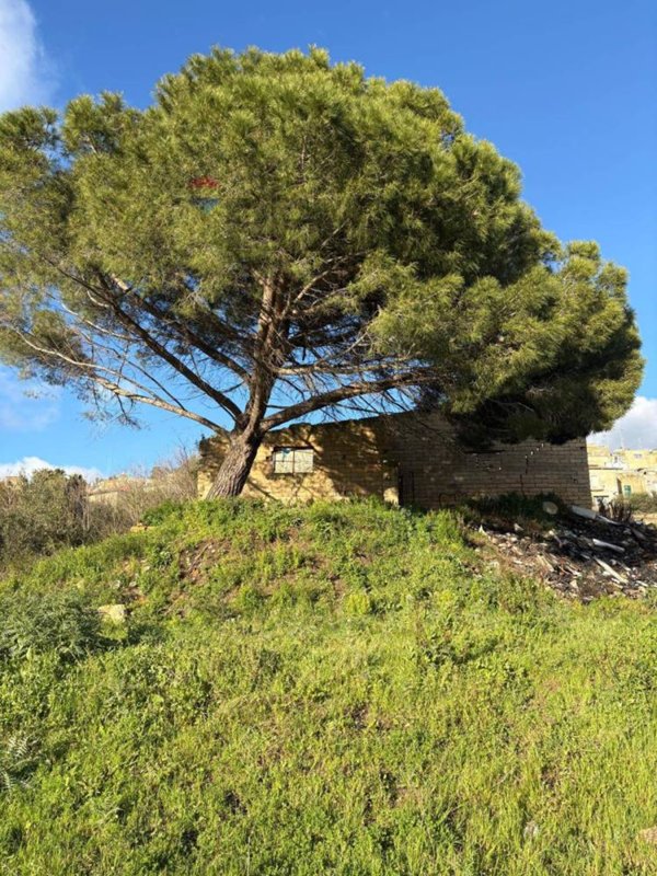 azienda agricola in vendita a Caltagirone in zona Signore del Soccorso