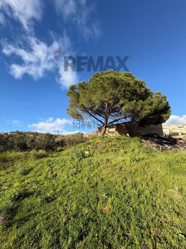 terreno agricolo in vendita a Caltagirone