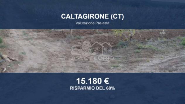 terreno agricolo in vendita a Caltagirone