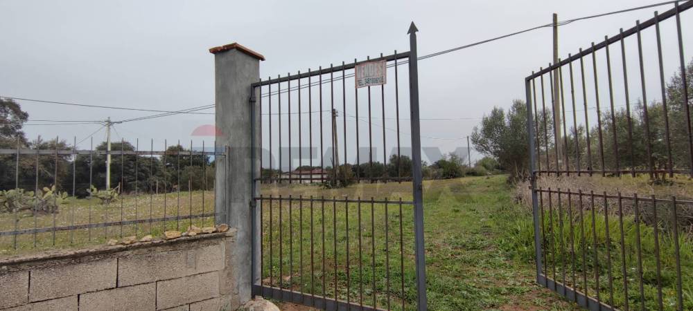 terreno agricolo in vendita a Caltagirone in zona Piano San Paolo