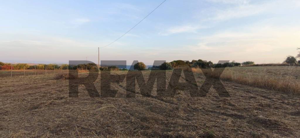 terreno agricolo in vendita a Caltagirone in zona Santo Pietro
