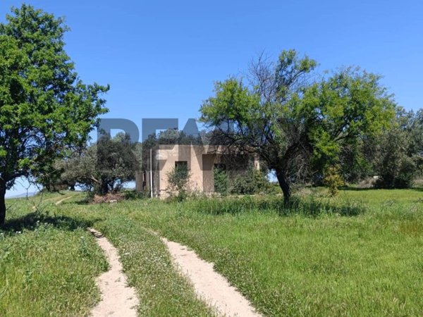 terreno agricolo in vendita a Caltagirone in zona Santo Pietro