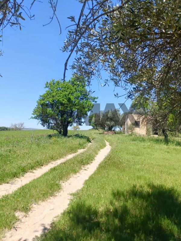 terreno agricolo in vendita a Caltagirone in zona Santo Pietro