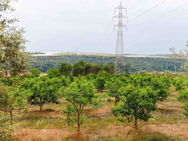 casale in vendita a Caltagirone in zona Molino Buongiovanni