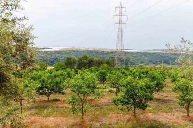 appartamento in vendita a Caltagirone
