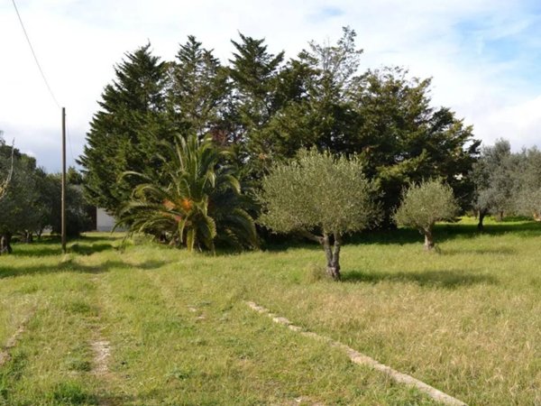 terreno agricolo in vendita a Caltagirone