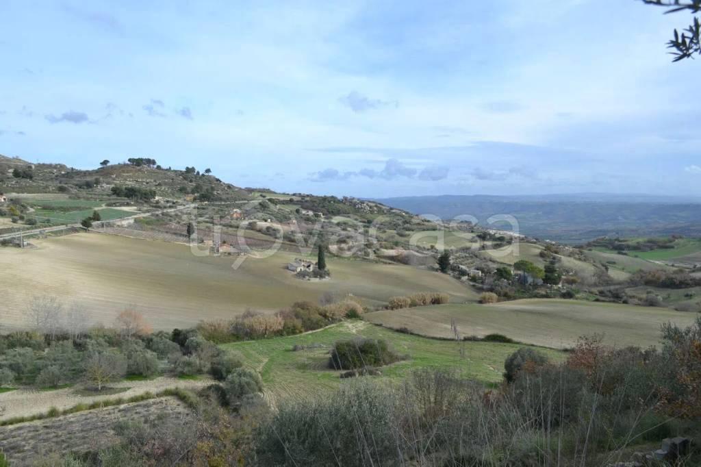 terreno agricolo in vendita a Caltagirone