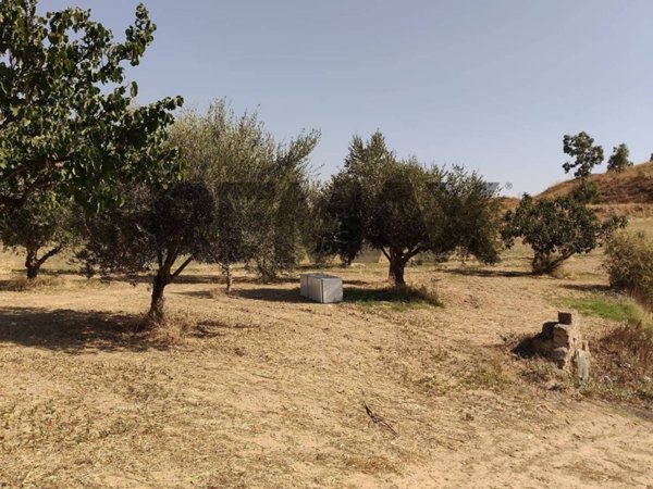 terreno agricolo in vendita a Caltagirone in zona Colleggiata