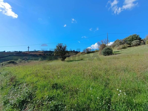 terreno agricolo in vendita a Caltagirone