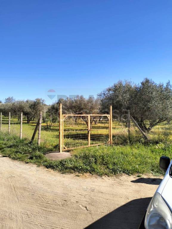 terreno agricolo in vendita a Caltagirone