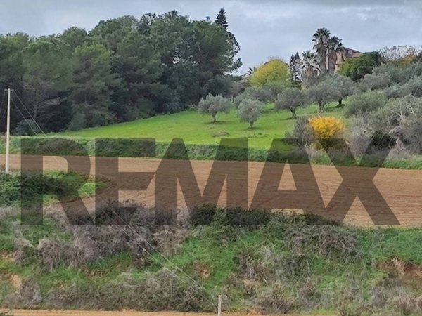 terreno agricolo in vendita a Caltagirone in zona Colleggiata