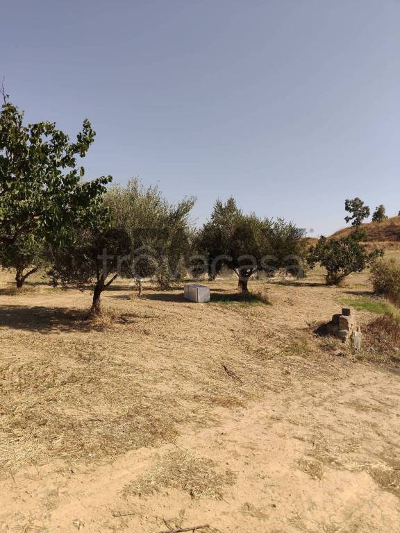terreno agricolo in vendita a Caltagirone in zona Signore del Soccorso