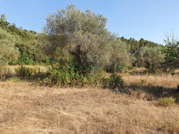 terreno agricolo in vendita a Caltagirone