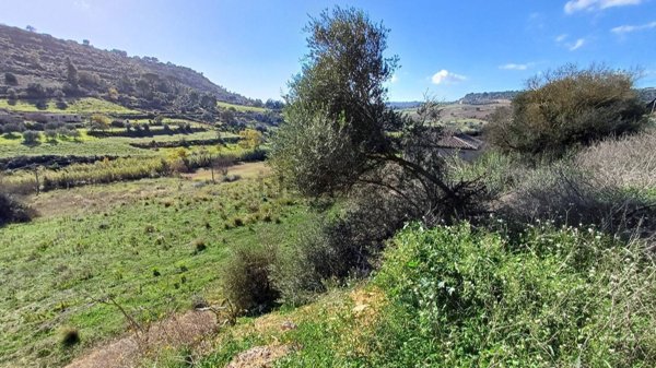 terreno agricolo in vendita a Caltagirone