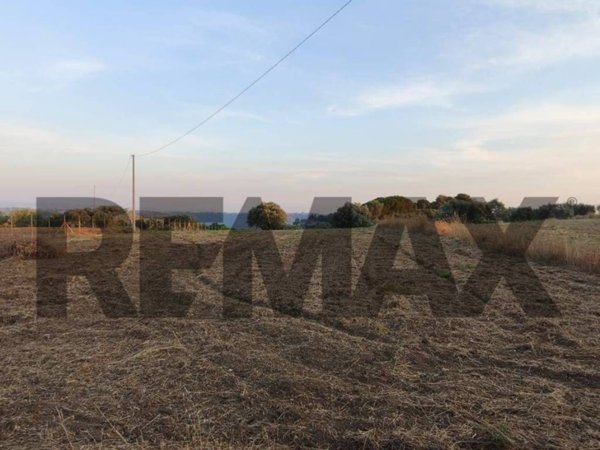 terreno agricolo in vendita a Caltagirone in zona Santo Pietro