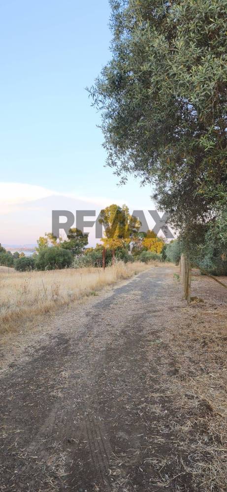 terreno agricolo in vendita a Caltagirone in zona Santo Pietro