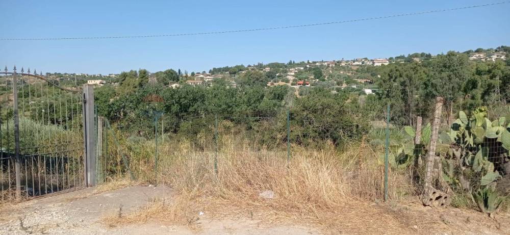 terreno agricolo in vendita a Caltagirone