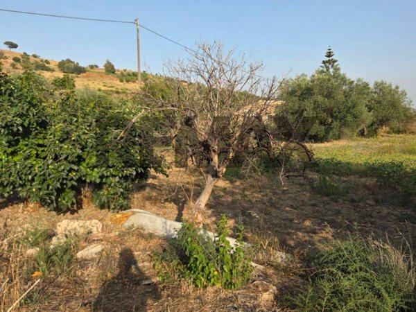terreno agricolo in vendita a Caltagirone