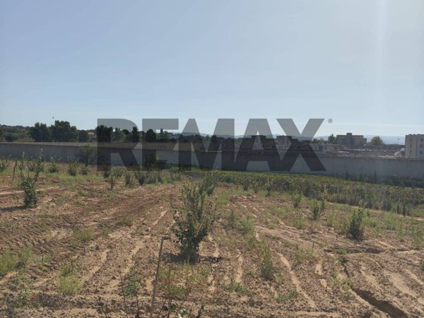 terreno agricolo in vendita a Caltagirone
