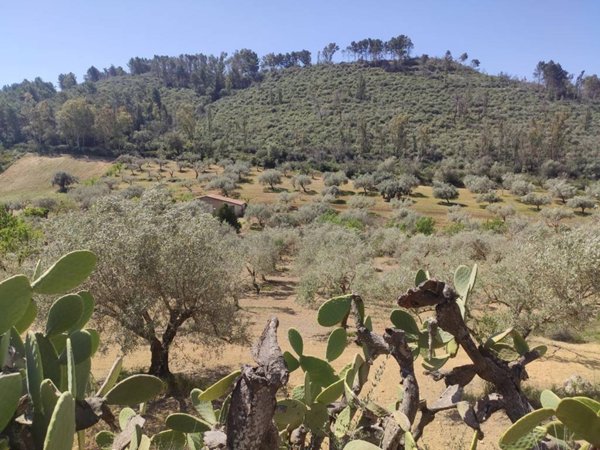 terreno in vendita a Caltagirone