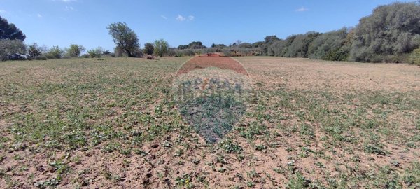 terreno in vendita a Caltagirone in zona Signore del Soccorso