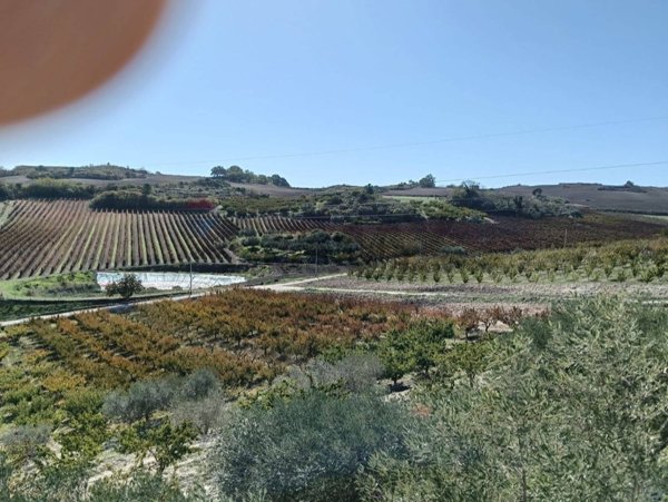 terreno in vendita a Caltagirone