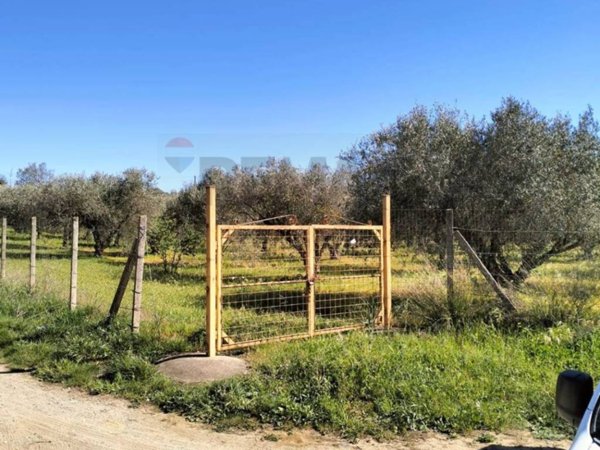 terreno agricolo in vendita a Caltagirone