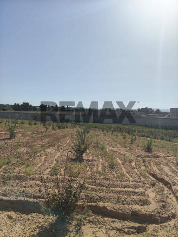 terreno agricolo in vendita a Caltagirone