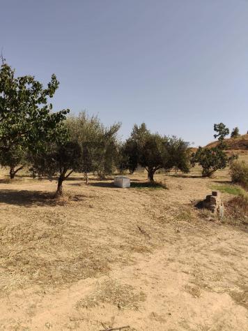 terreno agricolo in vendita a Caltagirone