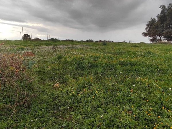 terreno agricolo in vendita a Caltagirone